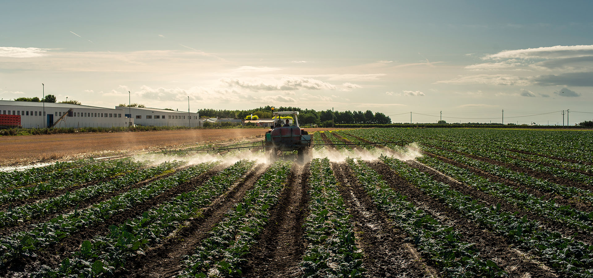 agroindustrial